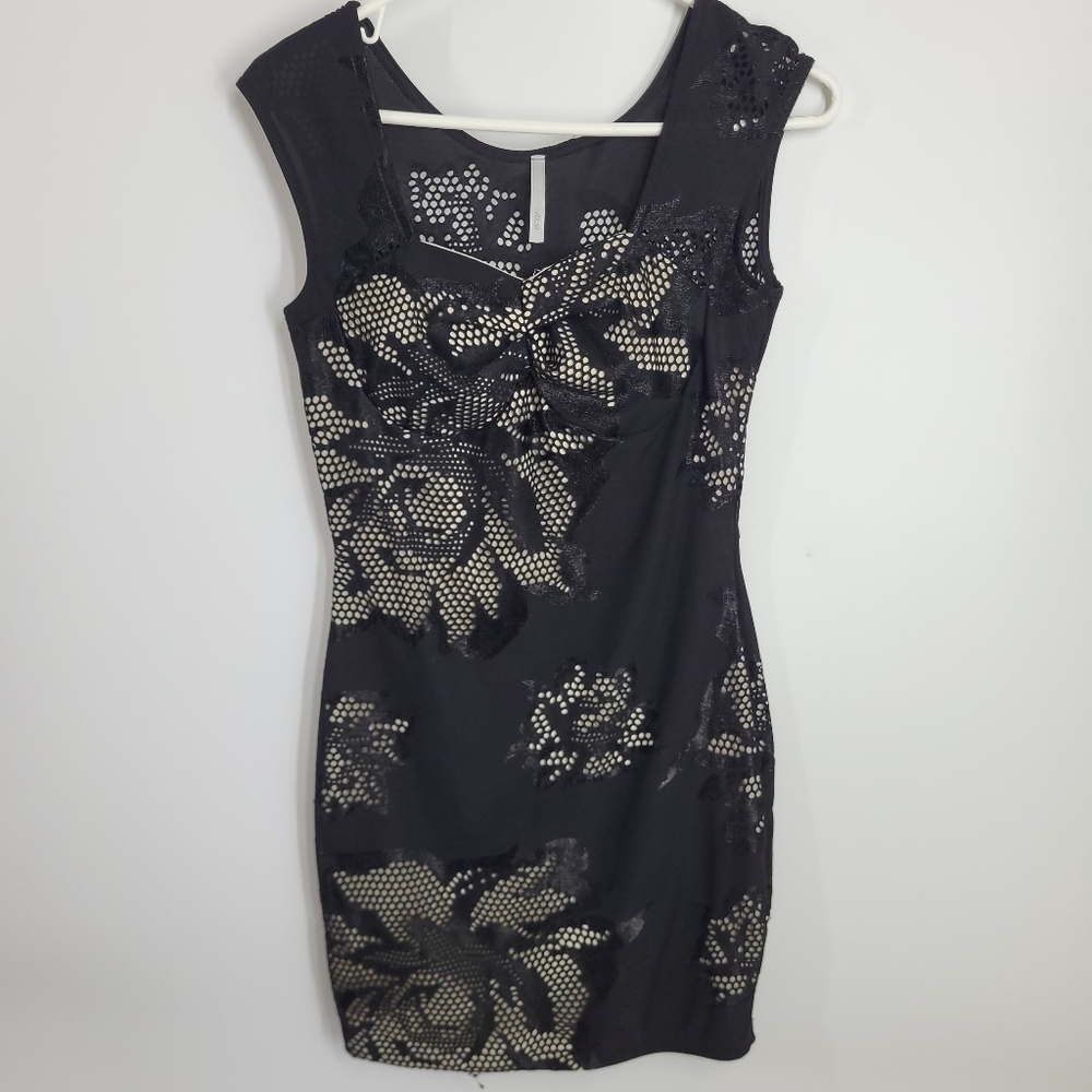 Alt. B Lace Over Nude Dress